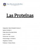 Las Proteínas ¿Qué son las proteínas?
