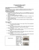 Determinacion de los aditivos en los agregados