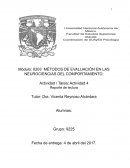 Neurociencias del comportamiento
