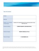 Análisis del comportamiento de las personas dentro de las organizaciones