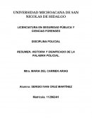 DISCIPLINA POLICIAL RESUMEN. HISTORIA Y SIGNIFICADO DE LA PALABRA POLICIAL