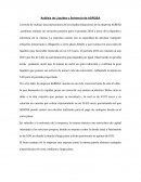 Analisis de liquidez y solvencia Agrosa