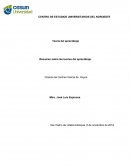 Resumen sobre las teorías del aprendizaje