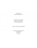 Cuadro Comparativo Sistemas de Información Gerencial