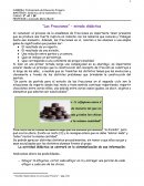 Las Fracciones – mirada didáctica