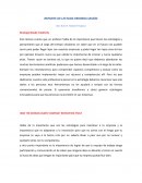 Importancia que tienen las estrategias