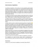 ¿Como funciona el capitalismo?