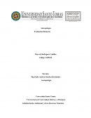 Antropología Evaluación Distancia