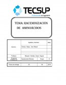Raceminización de aminoácidos