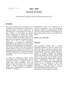 SDN - BSP GESTION DE REDES