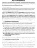 LOS ESPACIOS RURALES