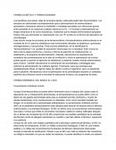 Infección de tejidos blandos