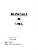 Descriptores de cargo. Reclutamiento y selección de personal