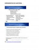 HERRAMIENTAS DE AUDITORIA