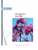 Proyecto educativo el “Lapachal negro”