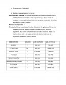 Mapa Conceptual Supermercado EMMANUEL