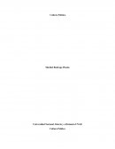 Cultura política y participación política