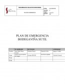 PLAN DE EMERGENCIA BODEGAVIÑA SUTIL