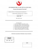 Materiales UPC informe