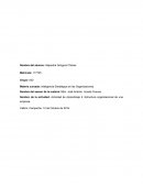 Estructura organizacional de una empresa