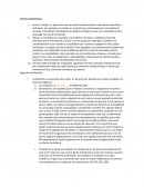 Ensayo universitario