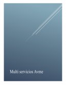 Caso Empresa Multi Servicios Avme