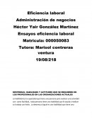 DESTREZAS, HABILIDAES Y ACTITUDES QUE SE REQUIEREN EN LOS PROFESIONALES EN LAS ORGANIZACIONES ACTUALES