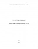 FORMULACION ESTRATEGICA PANELITAS LA CABRA