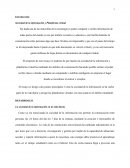 Ensayo sociedad de la información y plataforma virtual