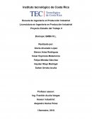 Proyecto Estudio del Trabajo lI Biotropic GMBH R.L