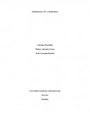 Globalización, TLC y Sindicalismo