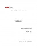 Psicoterapia para adultos Ensayo caso Dora