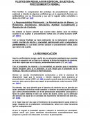 PLEITOS SIN REGULACION ESPECIAL SUJETOS AL PROCEDIMIENTO VERBAL