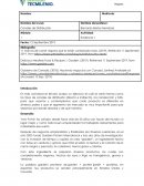 Evidencia 1 canales de distribución