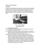 Torsión de Colon en Equinos