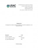 Investigación de severidad e incidencia de patógenos en el cultivo de cardamomo ( ) en el municipio de Carchá