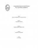 Análisis de flora y fauna de ciudad del carmen