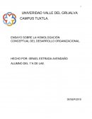 HOMOLOGACIÓN CONCEPTUAL DEL DESARROLLO ORGANIZACIONAL