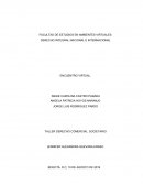 TALLER DERECHO COMERCIAL: SOCIETARIO