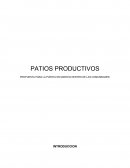 PATIO PRODUCTIVO COMUNITARIO