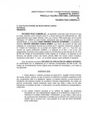 Juicio Ordinario Civil Sobre Custodia Provisional y Definitiva