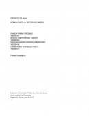 PROYECTO DE AULA RIOPAILA S.A