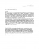 EL PRINCIPE DE EGIPTO (Película)