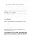 ¿Los empresarios colombianos están condenados al fracaso?