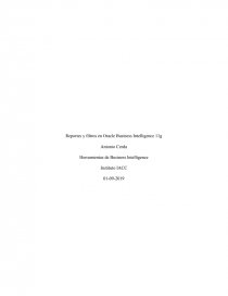 Herramientas de Business Intelligence 11g control 7. Página 1