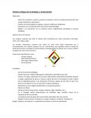 Historia antigua de la biología y renacimiento