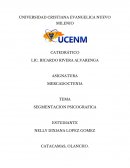 Ensayo sobre la segmentación psicográfica en el estilo de vida hondureño