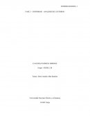 FASE 2 INFORMAR- ANALISIS DEL ENTORNO ECONOMIA SOLIDARIA