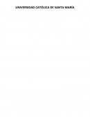 PLAN DE NEGOCIOS “ADEZIV”