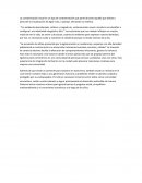 Ensayo contaminacion visual